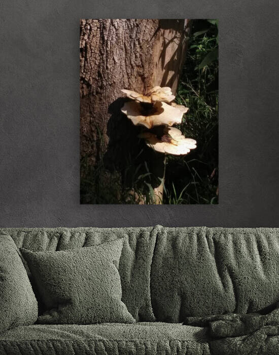 TREE MUSHROOMS Reproduction