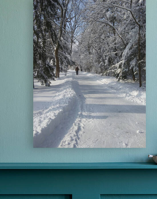 WINTER LANE Reproduction