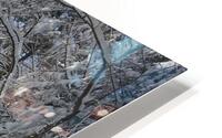 WINTER LANE HD Metal print