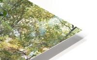 IMG 0122 HD Metal print