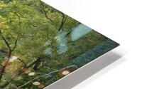 IMG 0107 HD Metal print