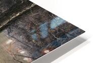 IMG 0004 HD Metal print