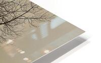 IMG 0012 2 HD Metal print
