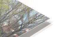 IMG 0001 2 HD Metal print