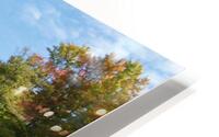 IMG 0112 HD Metal print