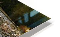 IMG 0110 HD Metal print
