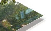 IMG 0017 HD Metal print