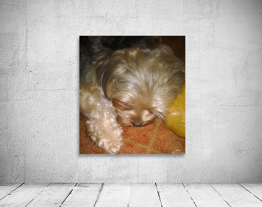 RILEY SLEEPING Wall Preview