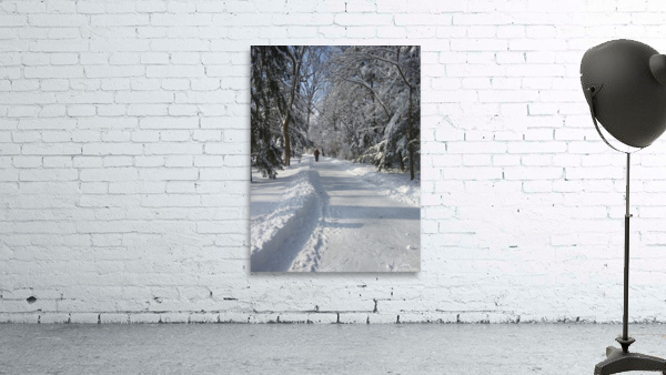 WINTER LANE Wall Preview