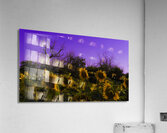 Sunflower Farm Hungary 2023 Acrylic Print