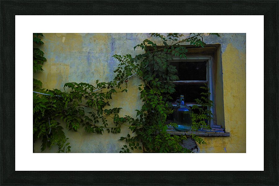 Tanya Window Great Plains of Hungary 2023 Picture Frame print