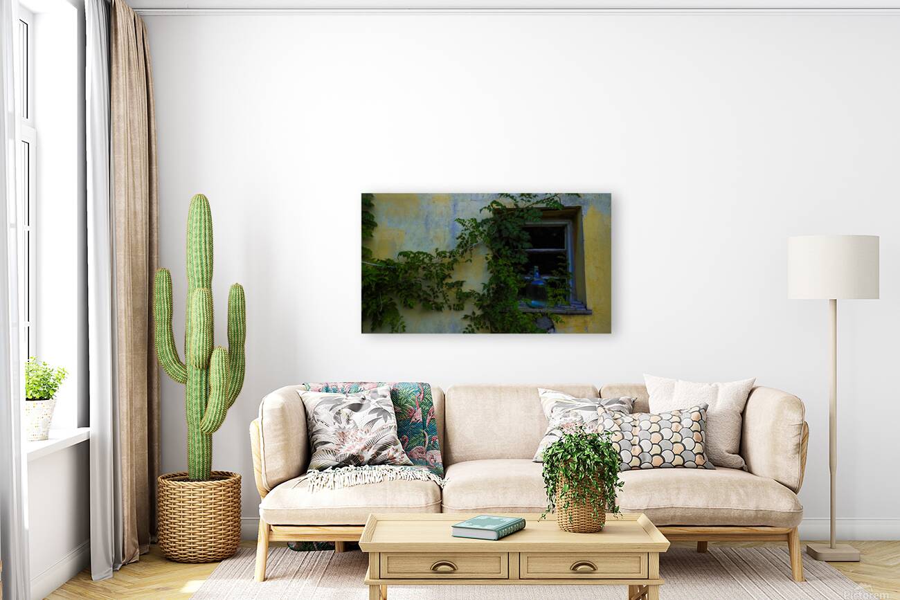 Tanya Window Great Plains of Hungary 2023 Reproduction