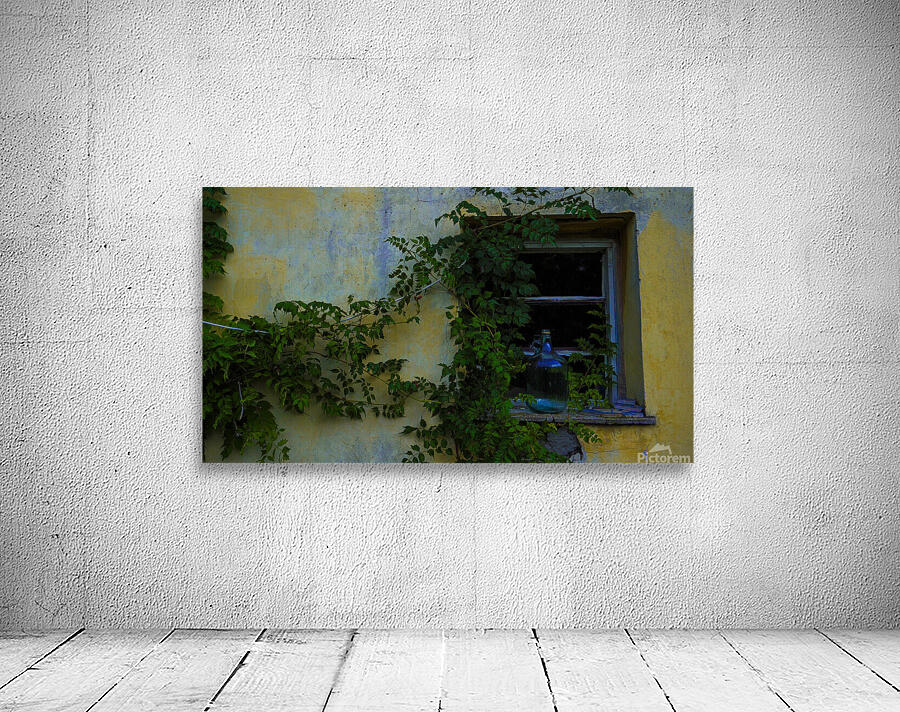 Tanya Window Great Plains of Hungary 2023 Wall Preview