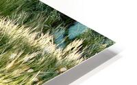 Green Breeze HD Metal print