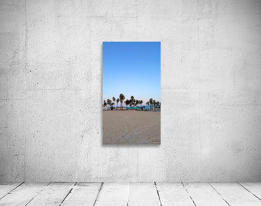 California Beach Wall Preview