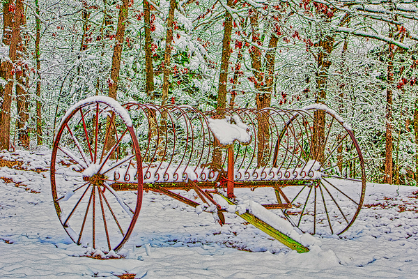 COUNTRY WINTER   Digital Download