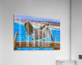 HARBOR PELICAN  Acrylic Print