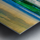 SEABIRD ON ROCK  Metal print