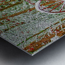 COUNTRY WINTER   Metal print