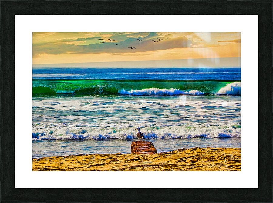 SEABIRD ON ROCK  Picture Frame print