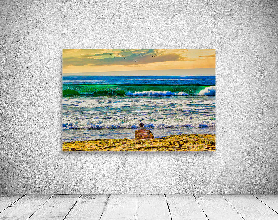 SEABIRD ON ROCK  Wall Preview