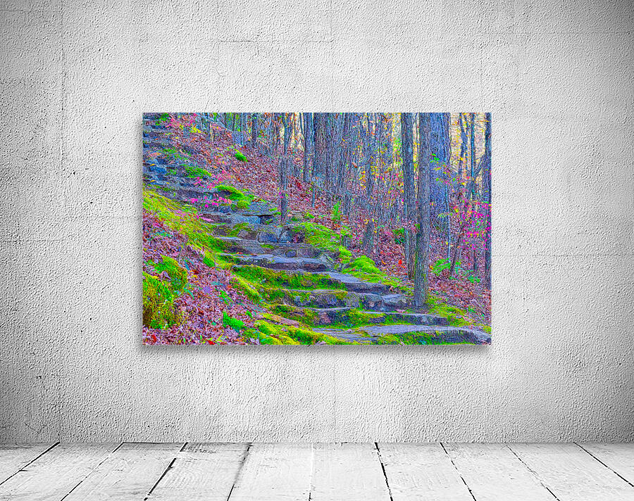 FOREST STAIRCASE  Aperçu sur mur