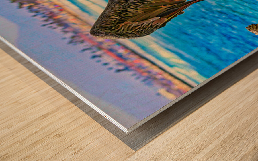 HARBOR PELICAN  Wood print