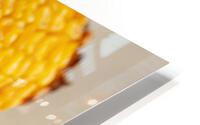 Baked corn cob HD Metal print