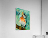 Robin Acrylic Print