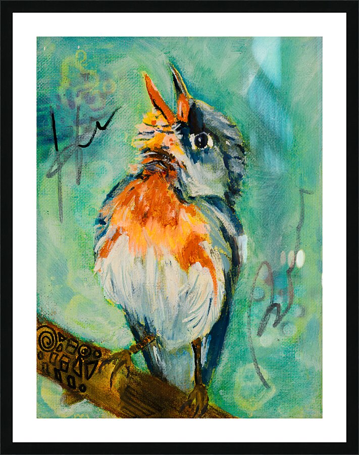 Robin Picture Frame print
