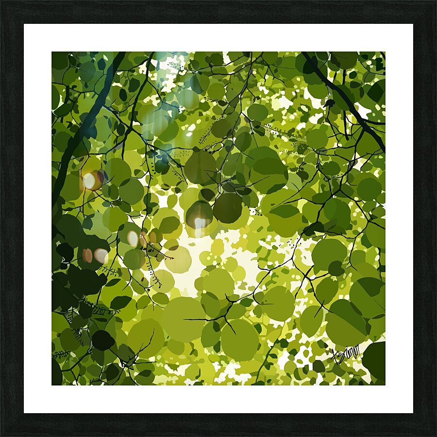 Skyview Picture Frame print