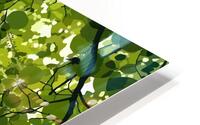 Skyview HD Metal print