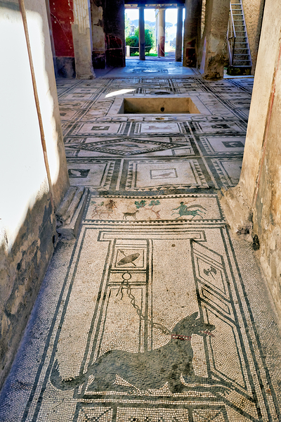 Mosaic floor in Pompeii reveals Roman art and ancient history Digital Download