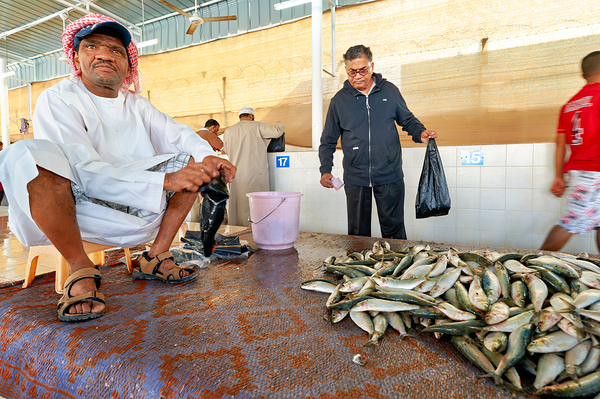 Fish market in Muscat Oman shows local trade activity Digital Download