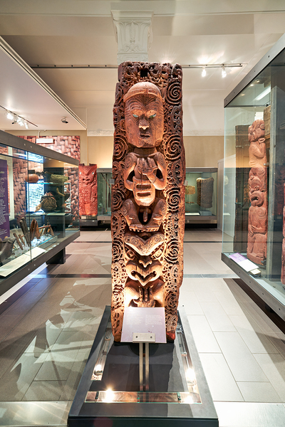 Visit to maori natural history gallery in auckland war memorial  Digital Download