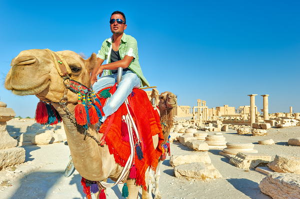 Camel driver in ancient Palmyra leading a tourist ride Digital Download