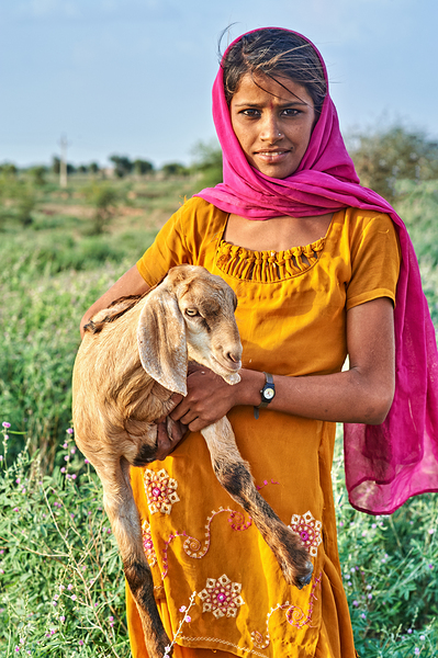 Girl holds goat in Khimsar Rajasthan India during sunny day Digital Download