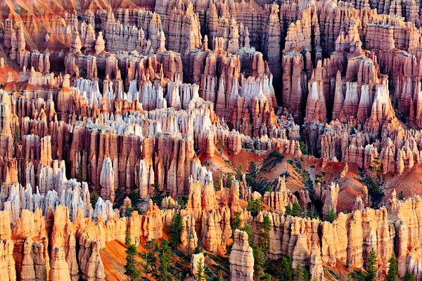 Views from bryce point in bryce canyon national park Téléchargement Numérique
