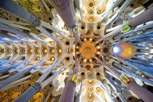 Visitors admire the Sagrada Famílias interior Digital Download