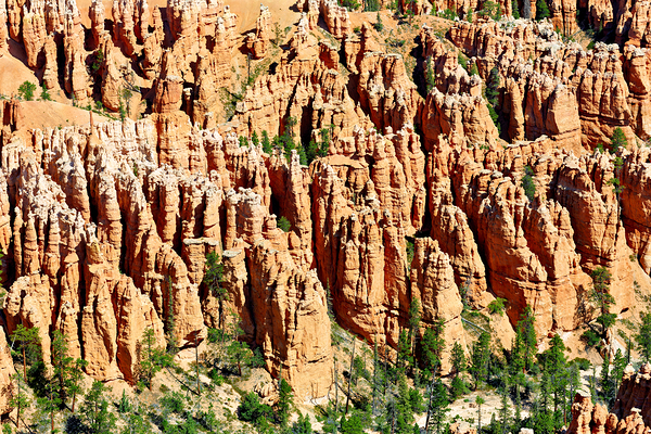 Views of bryce canyon from bryce point in national park usa Digital Download
