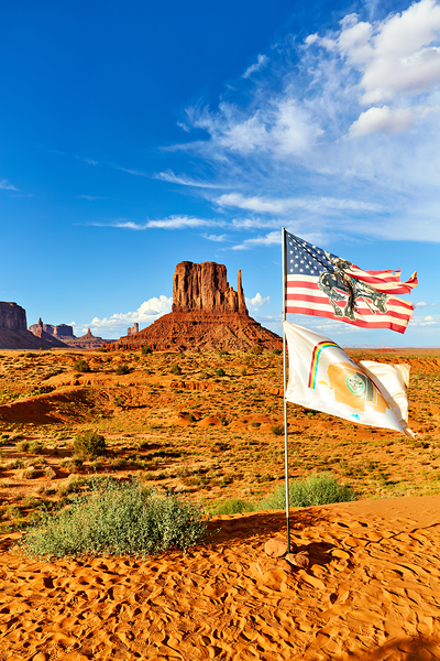 Monument Valley displays flags under blue sky in USA Digital Download