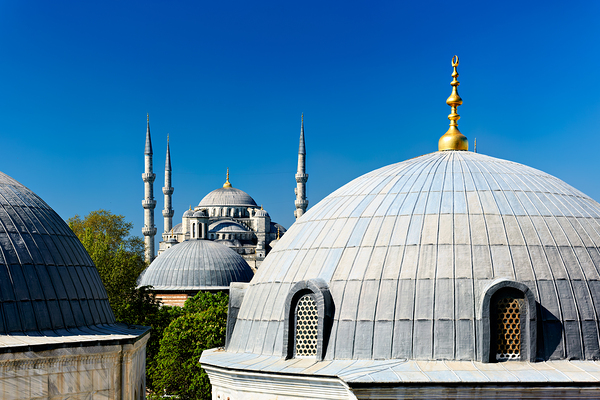 Blue Mosque domes under clear sky in Istanbul Digital Download