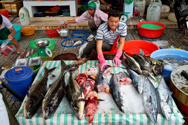 Fish market scene in Phu Quoc Vietnam during the day Digital Download