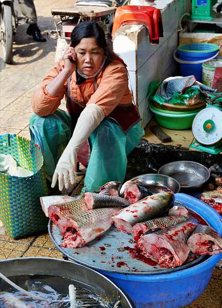 Fish vendor works at market in Hanoi Vietnam Digital Download