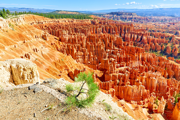 View from inspiration point at bryce canyon national park Digital Download