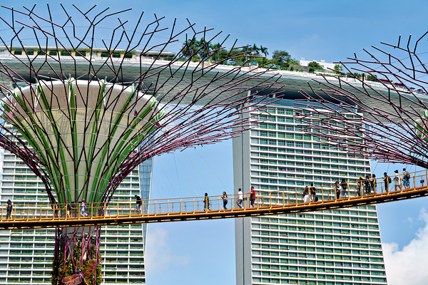 People walk on bridge connecting to Supertree Grove in Singapore Digital Download