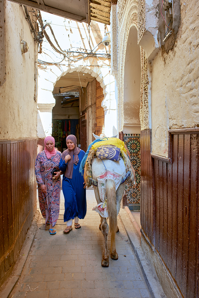 Women walking with donkey in narrow alley of Fez Medina Digital Download