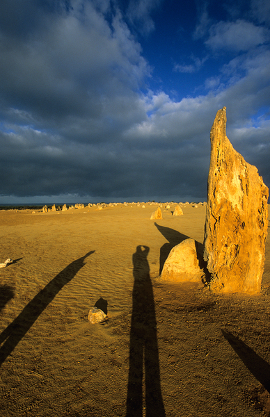 Photographers shadow falls on the Pinnacles desert at sunset. Digital Download