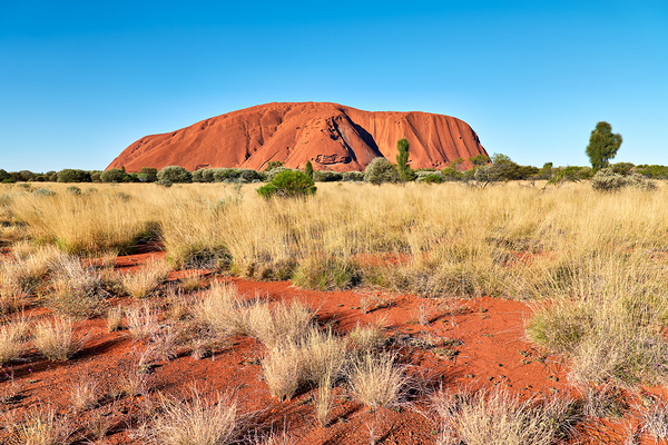 Uluru Australias iconic sandstone monolith under a clear blue Digital Download