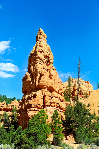 Rock formation towers over trees in Dixie National Forest Digital Download